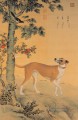 中国の伝統的なラング輝く黄色の犬